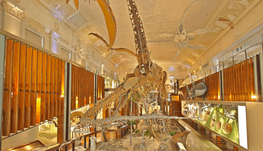 台北市観光のモデルコースで絶対に見逃せない国立台湾博物館 土銀展示館（どぎんてんじかん）