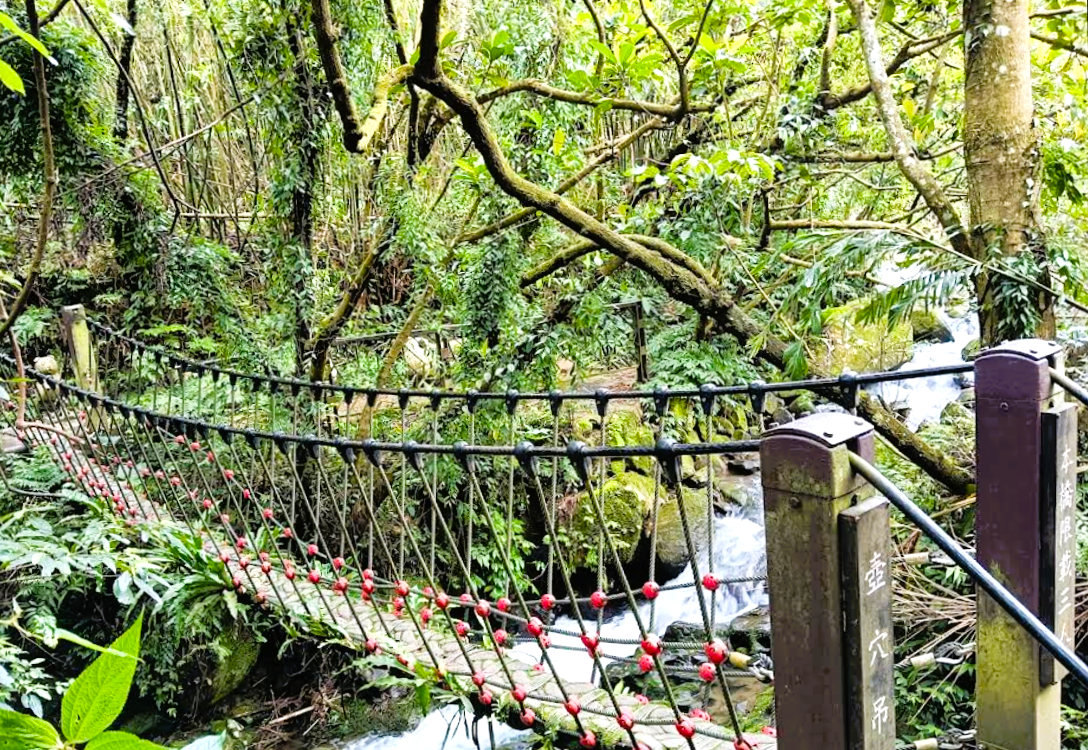 ハイキングコース