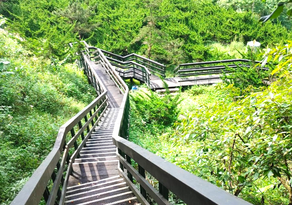 ハイキングコース